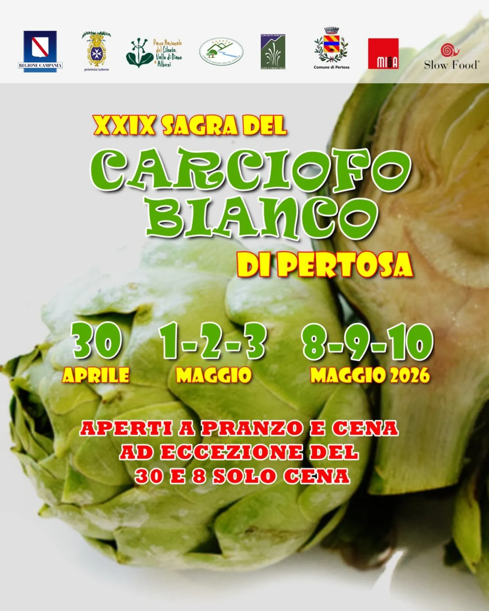 Sagra del Carciofo Bianco Pertosa