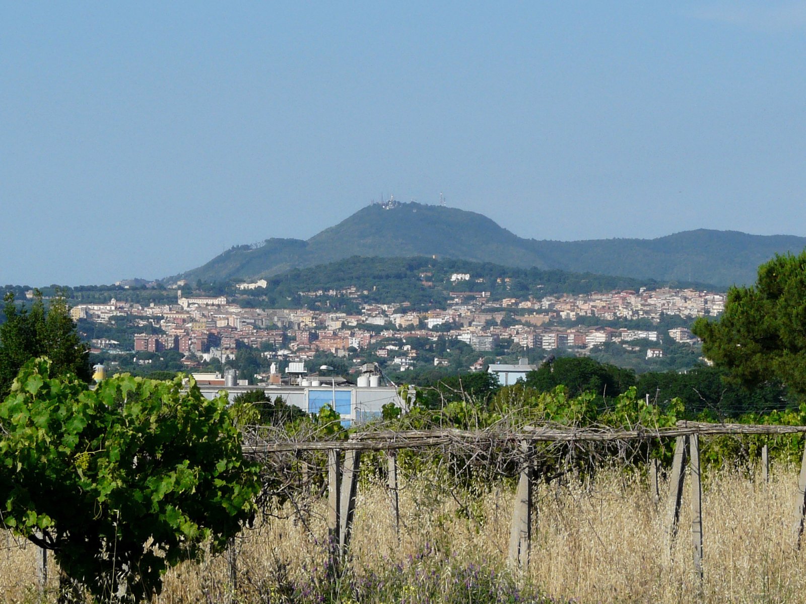 Albano Laziale