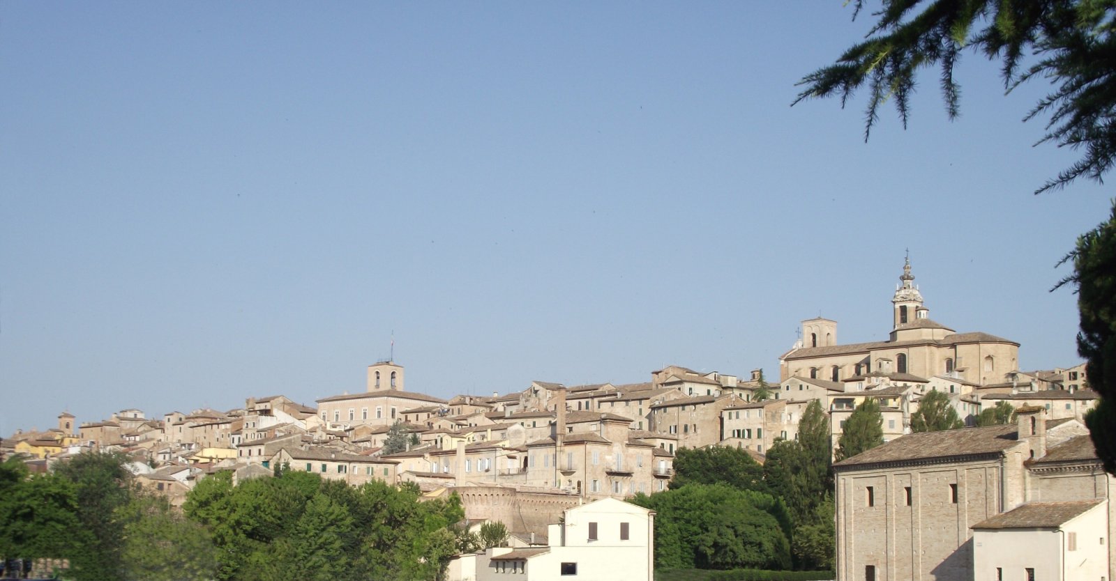 Jesi