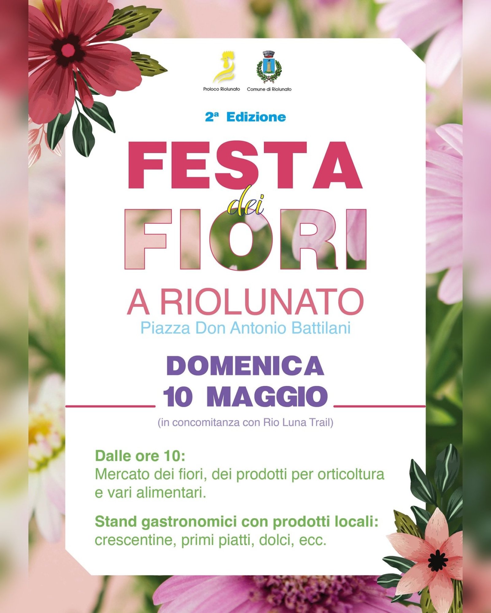 Festa dei Fiori Riolunato