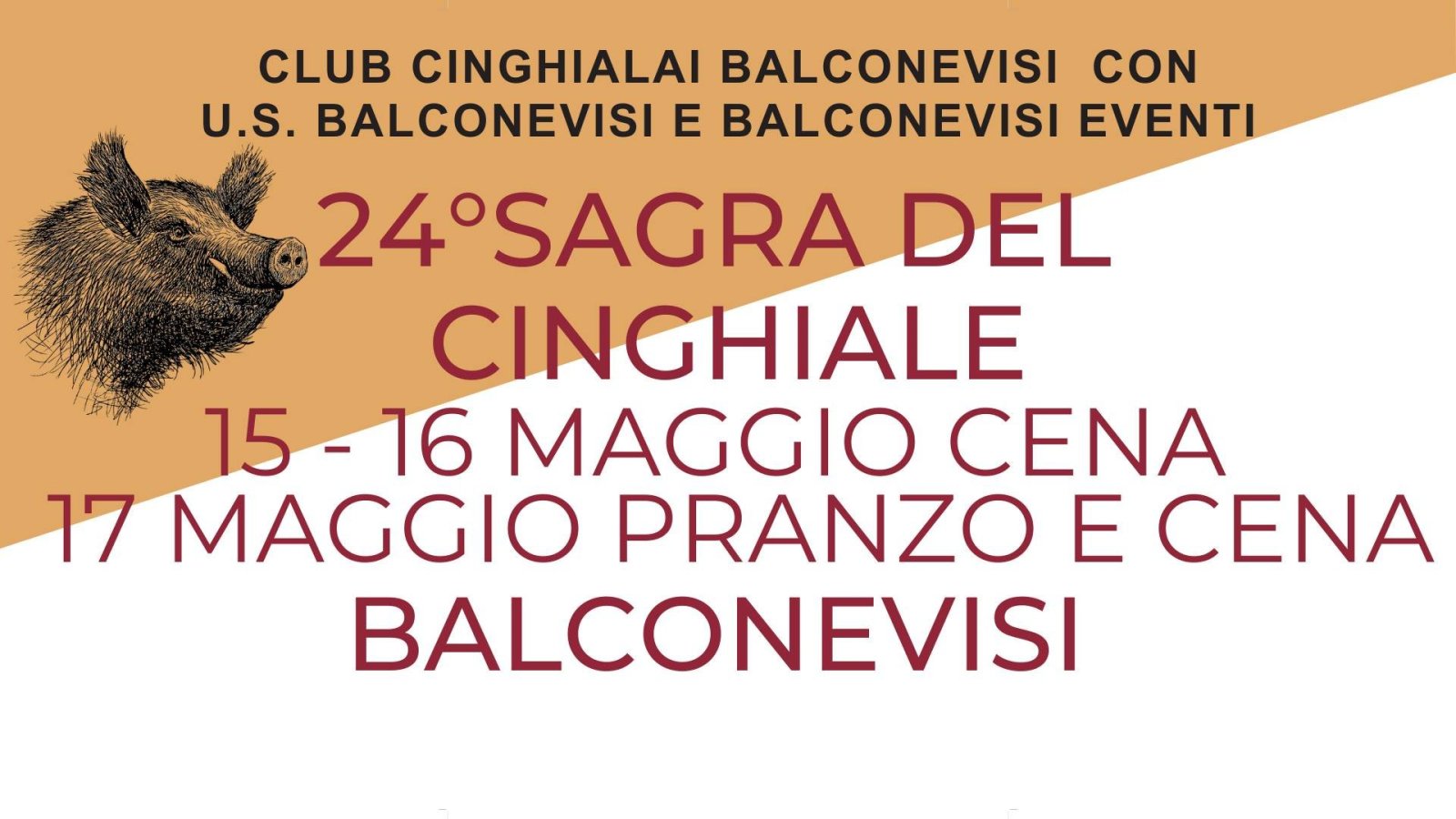 Sagra del Cinghiale  Balconevisi